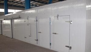 926407a1 8bdf 4b47 acd5 5092feefe3dd