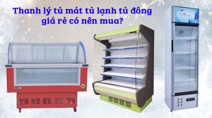 Thanh lý tủ mát, tủ đông 3 435bb035 d437 46fd ad00 a4c8125c5da2 1