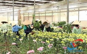 e3f990b6 798f 4473 b40e 3f96beb95357 1