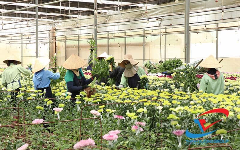 Thu mua kho đông, kho mát, kho lạnh Lâm Đồng 6 e3f990b6 798f 4473 b40e 3f96beb95357 1